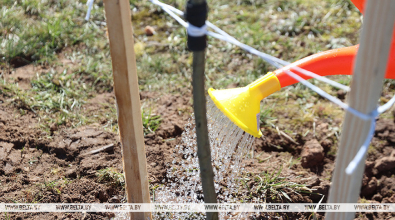  Республиканский субботник пройдет в Беларуси 18 апреля